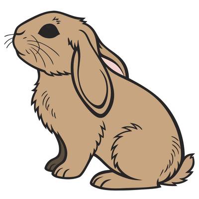 Wersja pokolorowana: Puszysty królik baran z boku