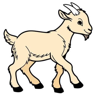 Colored version: Fluffy goat kid in side view