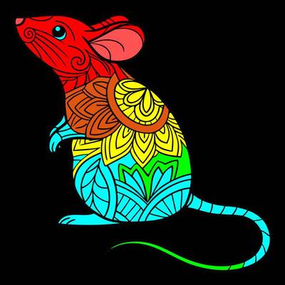 Ausgemalte Version: Detailreiche Zentangle-Maus im Profil