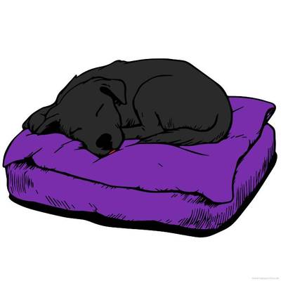 Versão colorida: Filhote dormindo em uma cama