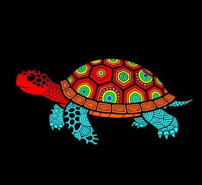 Ausgemalte Version: Zentangle-Schildkröte in Seitenansicht
