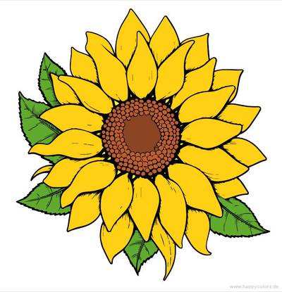 Ausgemalte Version: Sonnenblumen Kopf