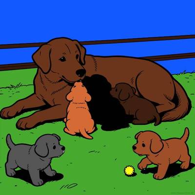 Ausgemalte Version: Golden-Retriever-Hündin mit fünf Welpen