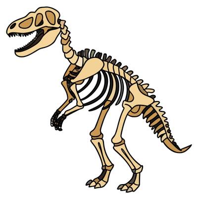 Väritetty versio: Yksinkertainen dinosauruksen luuranko