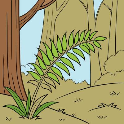 Versione colorata: Felce che si apre nel bosco ombroso