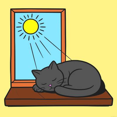 Version coloriée : Chat endormi sur un rebord ensoleillé