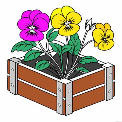 Colored version: Simple pansies in a wooden box