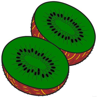 Version coloriée : Gros plan détaillé de deux moitiés de kiwi