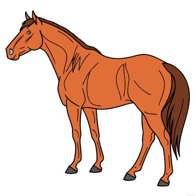 Ausgemalte Version: Stehendes Quarter Horse