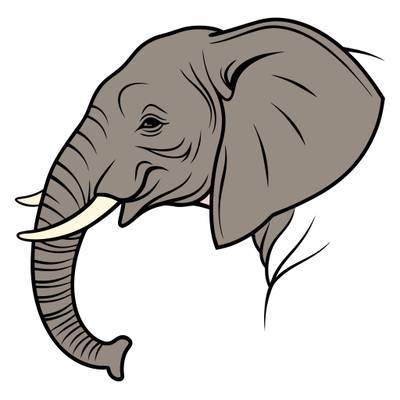 Versão colorida: Retrato lateral de cabeça de elefante