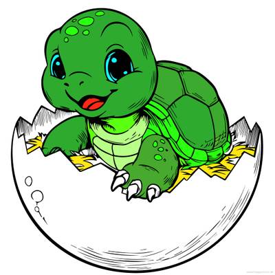 Version coloriée : Bébé tortue éclos