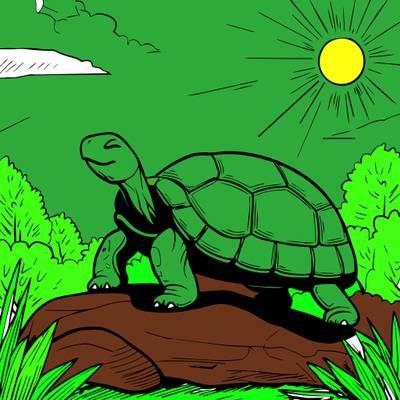 Version coloriée : Tortue joyeuse sur un rocher