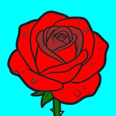 Versão colorida: Rosa com gotas de orvalho