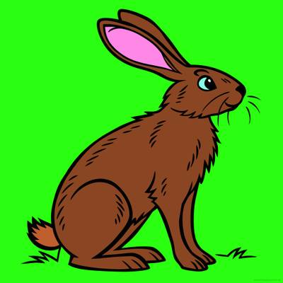 Farvelagt version: Realistisk siddende hare