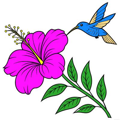 Colored version: Hibiscus branch with hummingbird