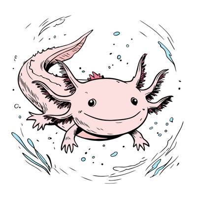 Ingekleurde versie: Schattige axolotl zwemmend
