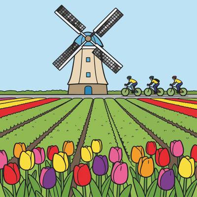 Fargelagt versjon: Syklister ved vindmølle og tulipanåker
